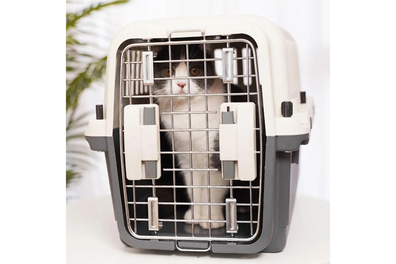 Hard-Sided Travel Pet Carrier