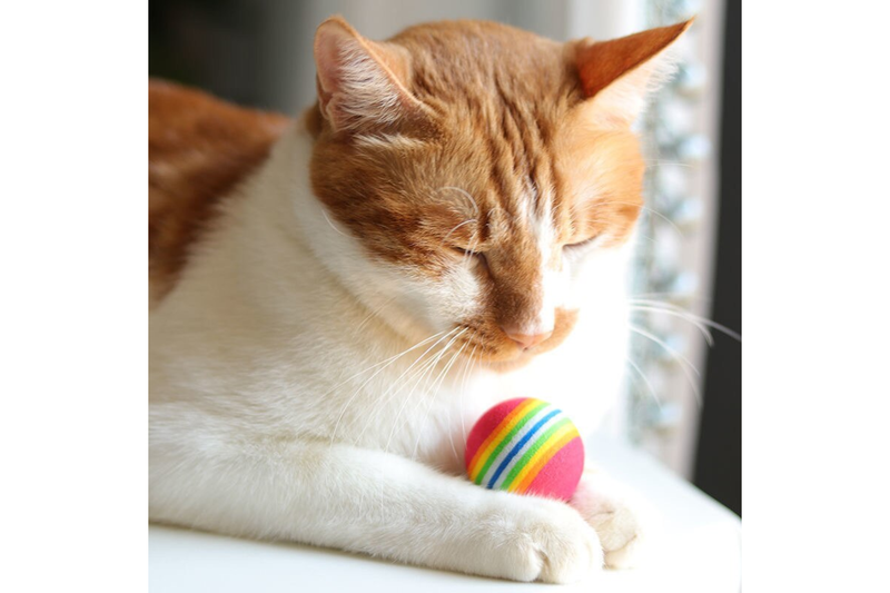 Dog Supplies 3Pcs Pet Cat Play Balls Foam Rainbow - Rainbow