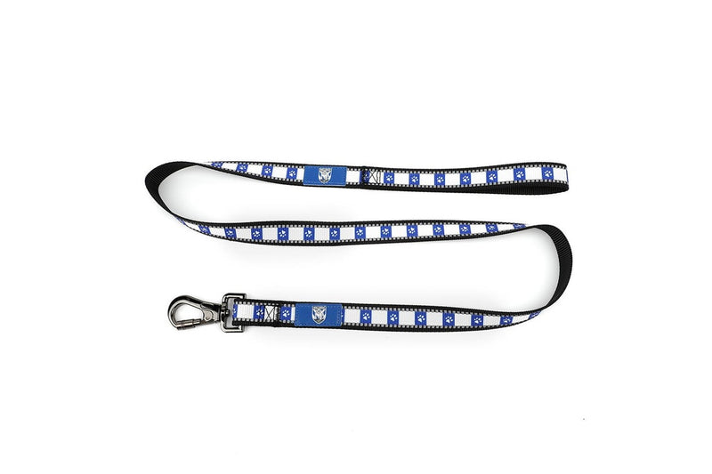 NRL Canterbury Bulldogs Dog Reflective Collar Walking 120cm Leash Lead Set