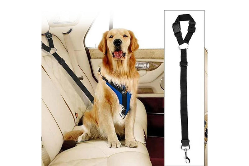 Adjustable Safety Car Leash for Pets - 3 Pack