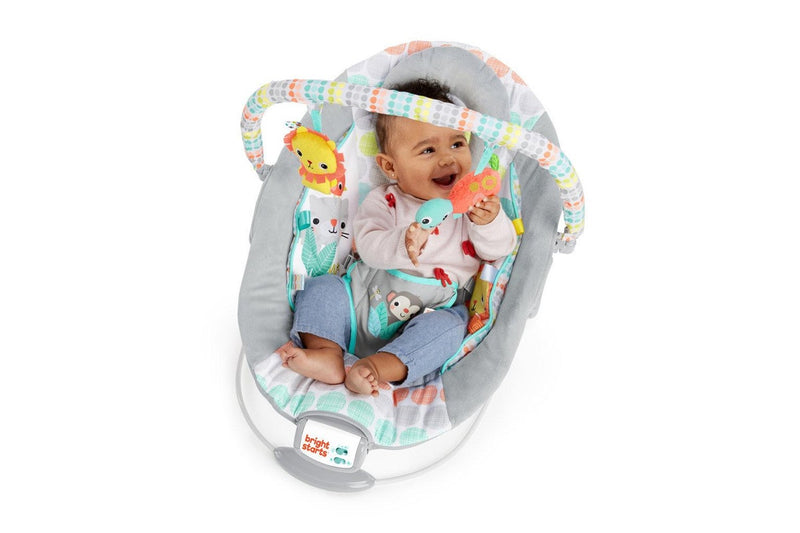 Bright Starts: Cradling Bouncer - Whimsical Wild