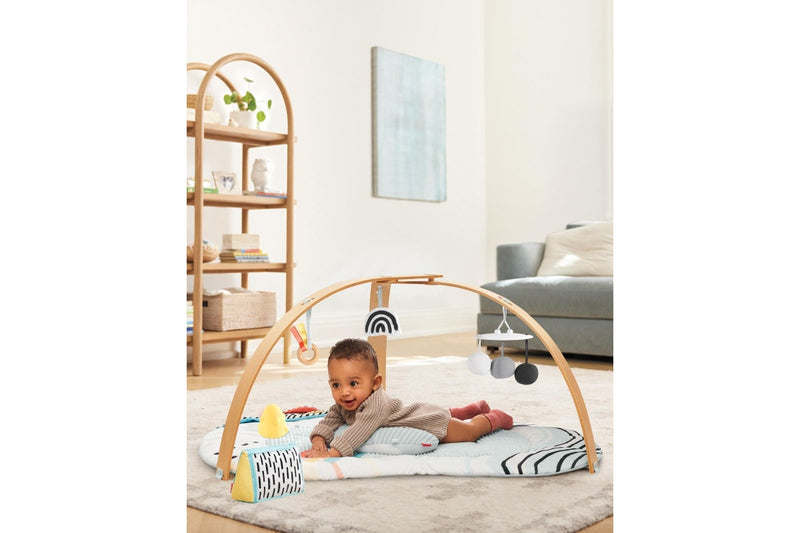 Skip Hop: Discoverosity Deluxe Activity Gym