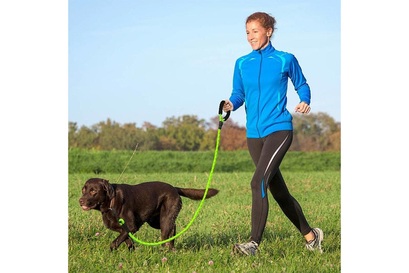 ZOOMIES 1.5M Reflective Threads Dog Leash with Padded Handle - Green