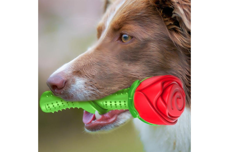 Durable Dog Toys for Aggressive Chewers - Red