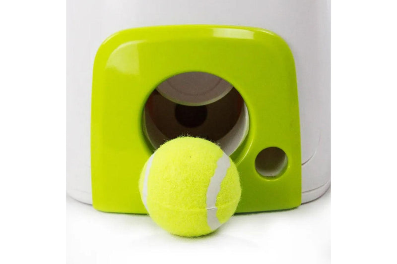 Pet Dog Double Hole Food Reward Machine Automatic Dog Toy Tennis Ball Launcher