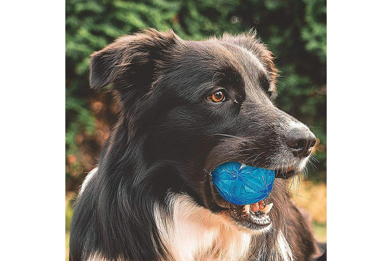 Durable Squeaker Dental Care Soft Flash Led Dog Bounce Ball