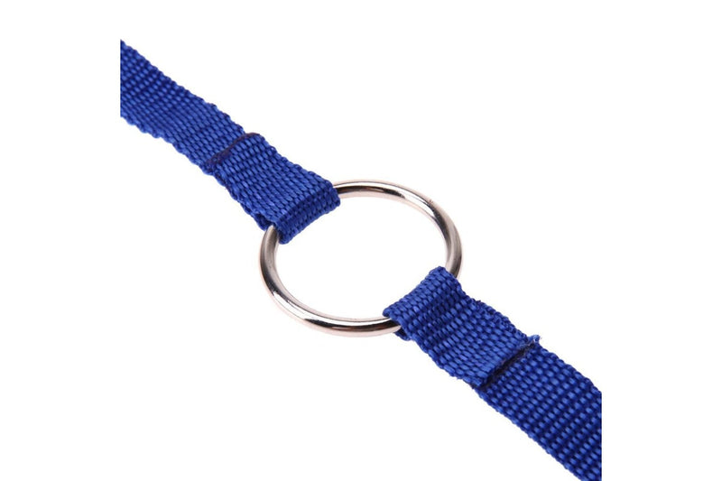 Blue Double Dog Leash Connector Pet Supplies - Blue - Set Of 1