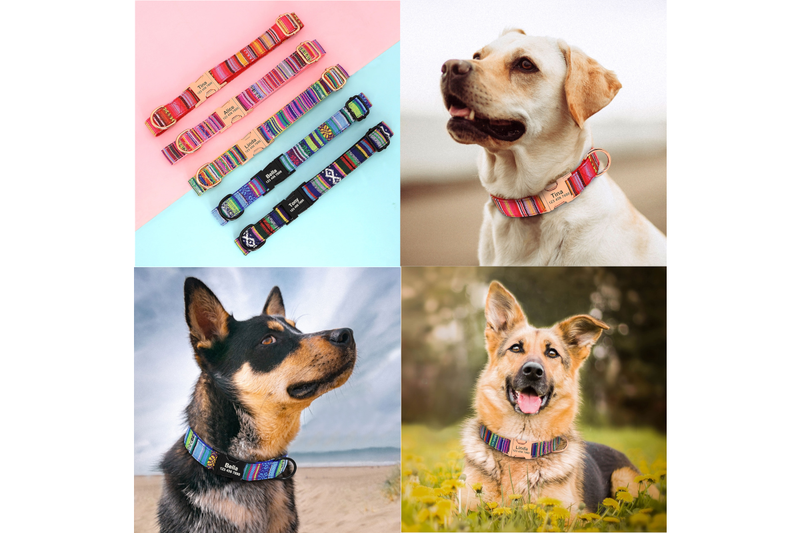 Custom Adjustable Printed Dog Collars Small Large Dogs - Black - S - Set Of 1