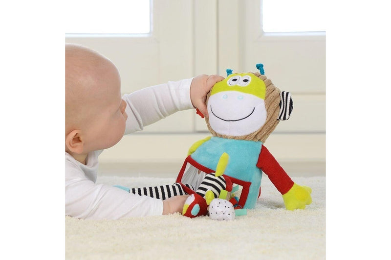 Dolce: Play and Learn Monkey Activity Toy