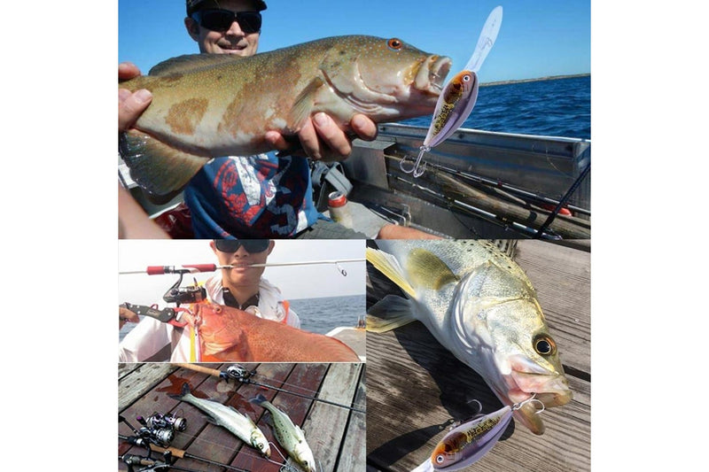 Realistic 12cm Hard Plastic Fishing Lures