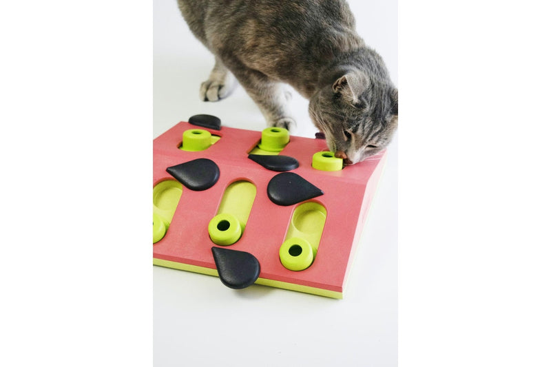 Petstages: Nina Ottosson - Melon Madness Puzzle & Play - Cat Game