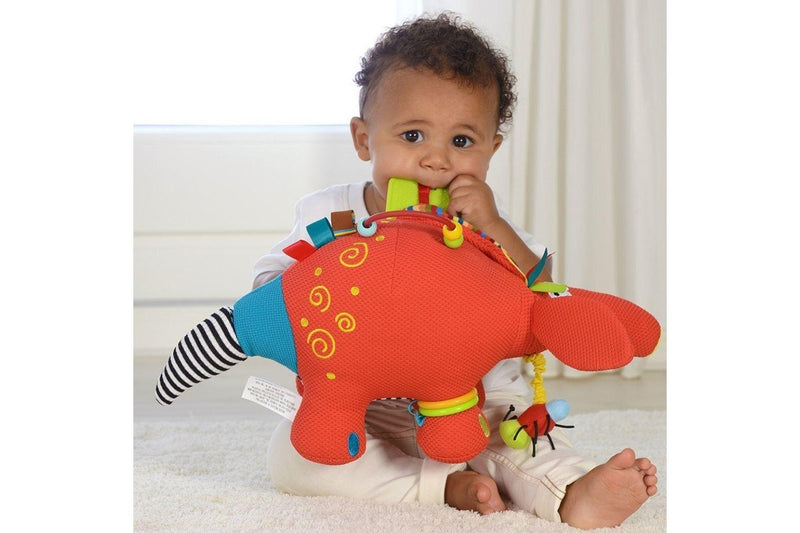 Dolce: Activity Toy - Aardvark