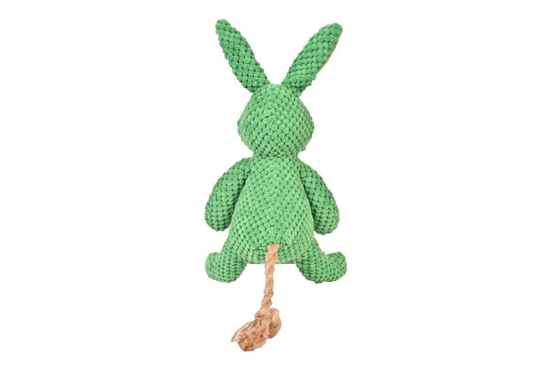 Zoomies Bunny Pet Toy