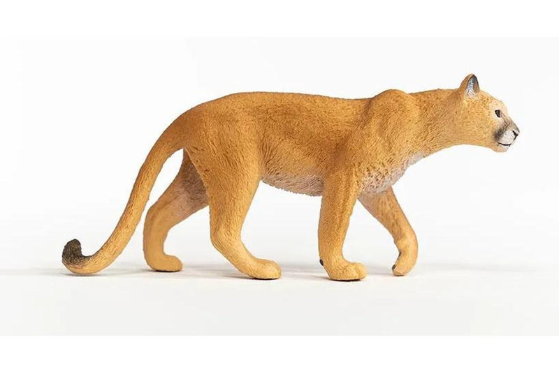 Schleich - Cougar