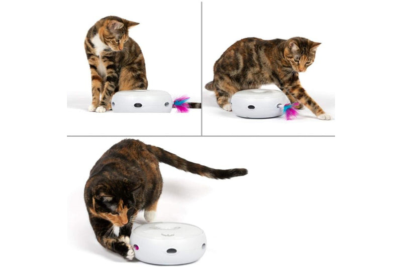 Auto-Rotating Smart Turntable Cat Teaser