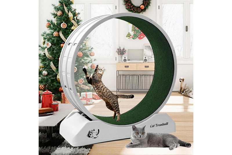 ZOMMIES 80cm Indoor Cat Wheel - Gray