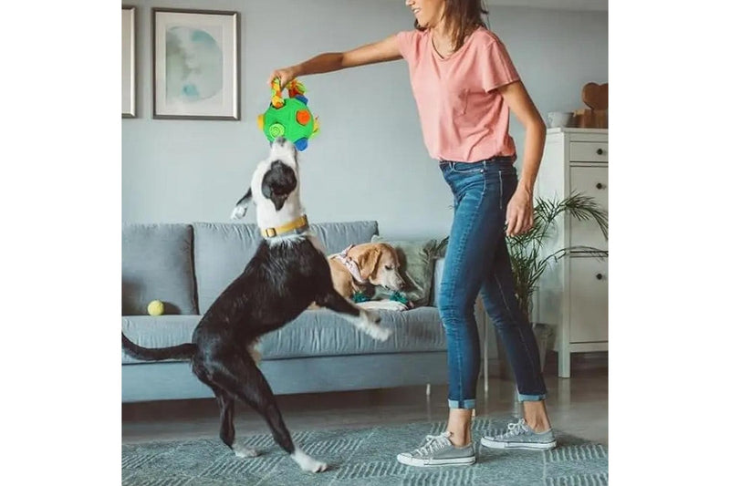 Pet Snuffle Ball with Interactive Rope Interactive Puzzle Toys Dog Chew Toys Green