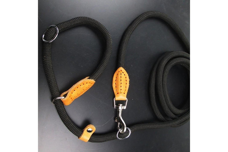 Multifunctional Dog Leash With p Shape Collar