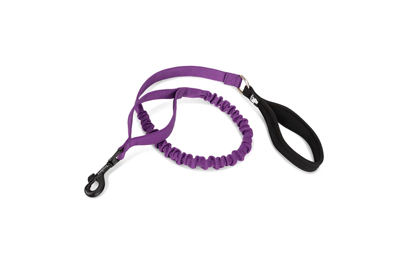 Dog Flexible Neoprene Padded Handle Leash Purple - S