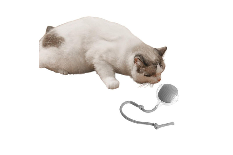 Interactive Cat Toy Ball Fast Rolling Chirping Motion Activate Cat Toys Gray