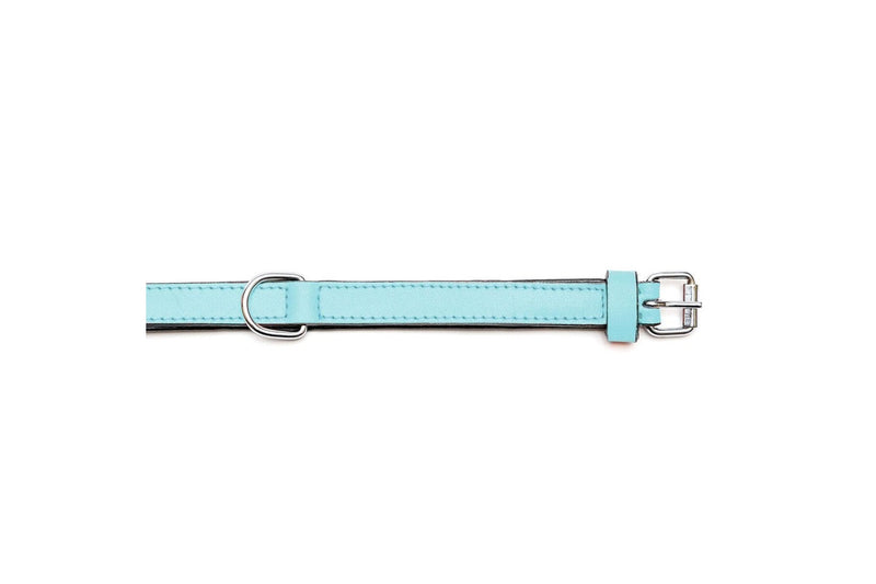 Dog Collar By Gloria 30 cm Padded Leather Blue