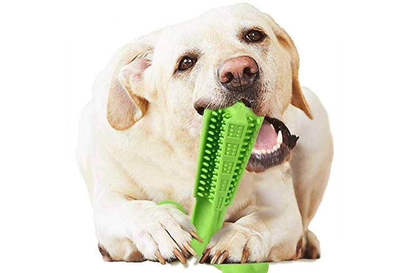 Dog Chew Toy Toothbrush Pet Dog Tooth Cleaning Stick Dental Care