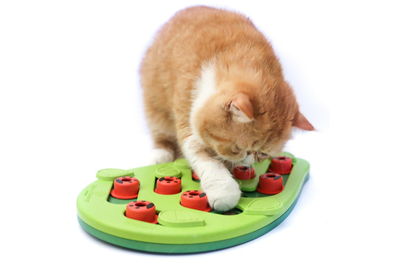 Petstages: Nina Ottosson - Buggin Out Puzzle & Play-Interactive - Cat Treat Puzzle