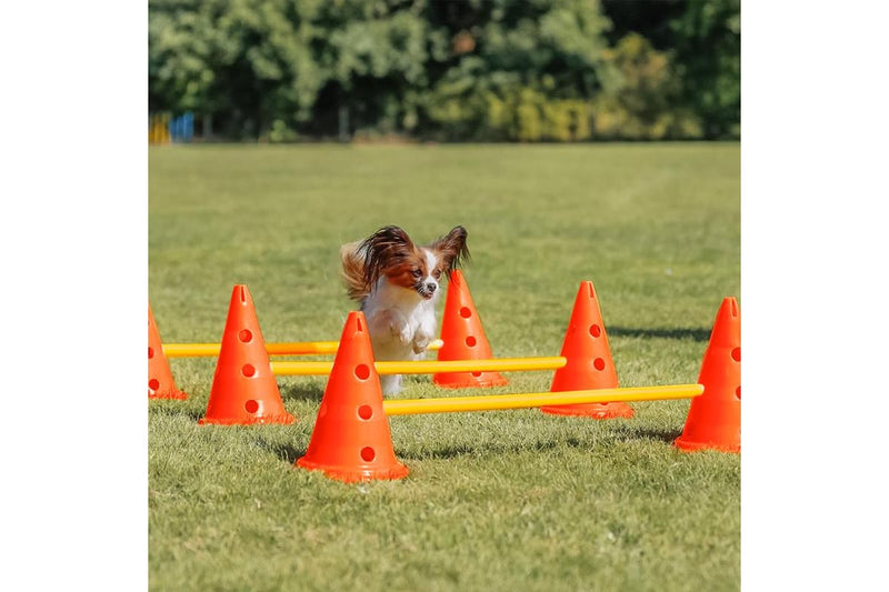 ZOOMIES Dog Agility Hurdle Cone Set - Orange