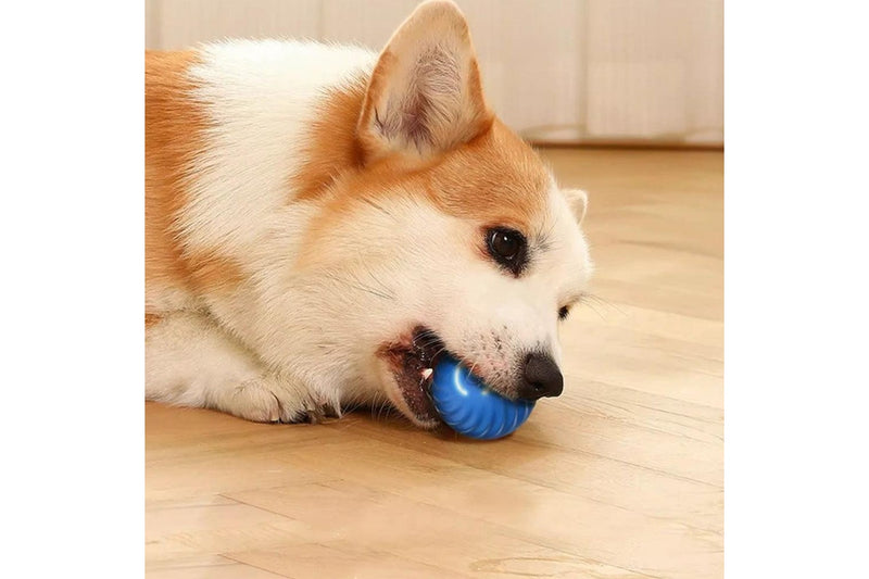 Pet Automatic Rolling Ball Toy Jumping Bouncing Ball Pet Dog Toy Blue