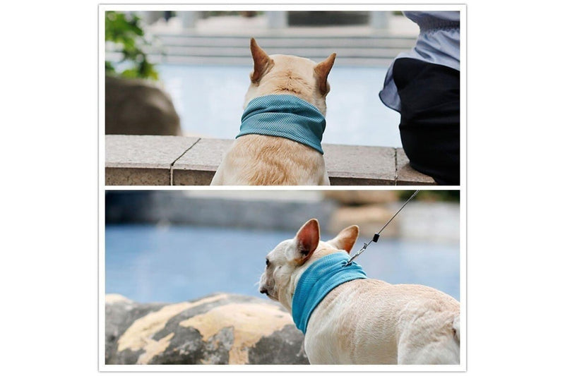 Summer Breathable Lightweight Nontoxic Instant Cooling Ice Chill Wrap Dog Collar