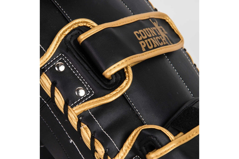 Counterpunch Premium Leather Thai Pads x 2