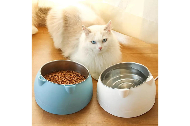 Tilted Dog Food Bowl Stainless Steel Cat Dog Feeder Blue