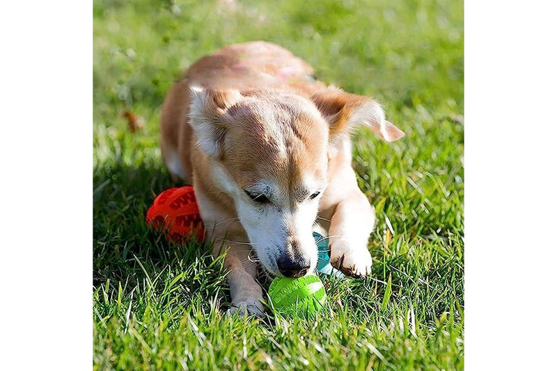 Pet Dog Chew Ball Toy Rubber Teeth Cleaning Bite Ball Puppy Treat Ball