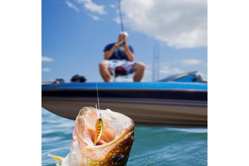 Long Throw Bionic Fishing Bait With Treble Hooks