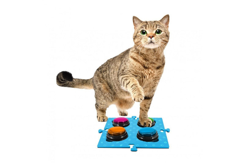 2PK Tech4Pets Mat Board Organiser Storage Holder For Talking Buttons Floor Blue