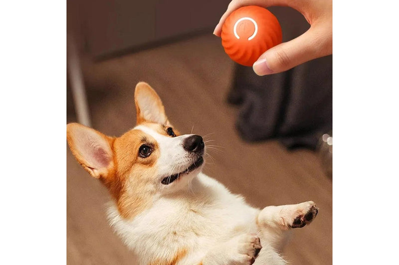 Pet Automatic Rolling Ball Toy Jumping Bouncing Ball Pet Dog Toy Orange