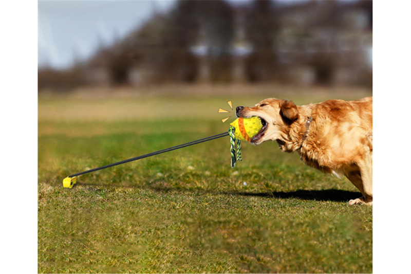 Anti Boredom Fun Dog Ball Toy With Ground Stake - Yellow