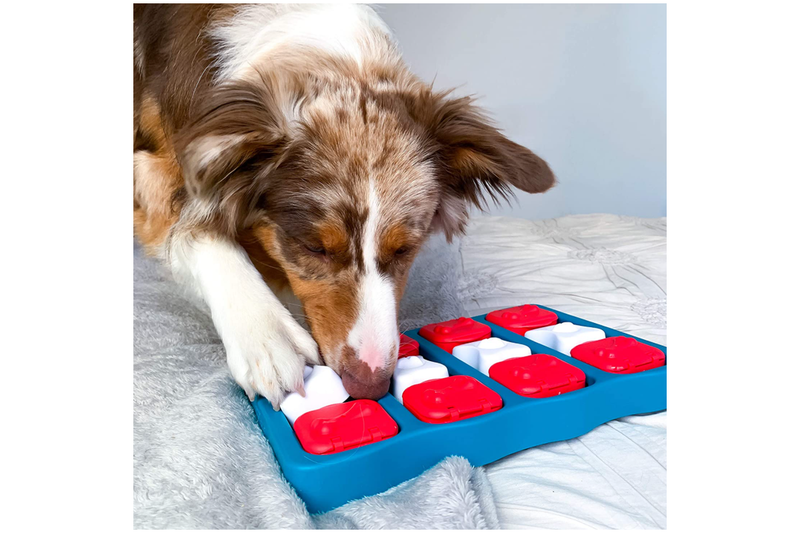 Nina Ottosson by Outward Hound Dog Brick Interactive Treat Puzzle Dog Toy - NZ Stock