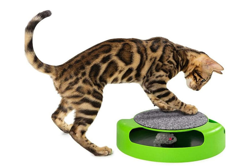 Catch the Mouse - Cat Toy & Scratching Pad (Green)