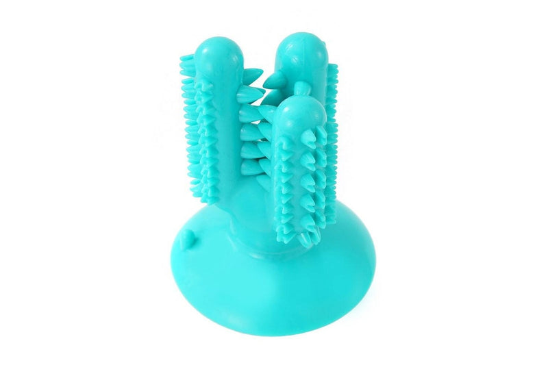 2x Paws & Claws 13cm Cactus Suction Brush Dental Treat Pet Dog Rubber Toy Teal