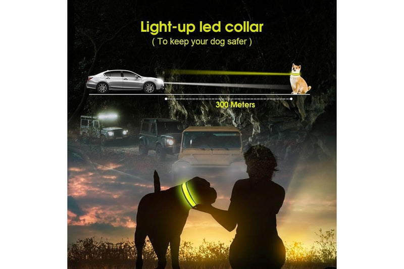 LED Dog Cat Collar USB Rechargeable Nylon Glow Flashing Light Up Safety Puppy