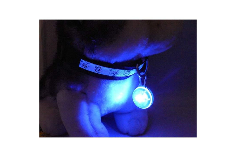 Pet Travel Access 2Pack Colourful Clip On Safety Night Light Collar Keychain Led Waterproof Walking Lights For Dogs And Cats Pink Blue - Blue