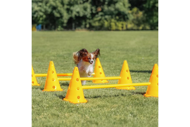 ZOOMIES Dog Agility Hurdle Cone Set - Yellow