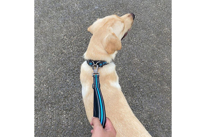 Reflective Step Traction Leash With Mesh Handle