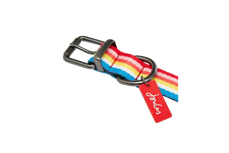 Joules Rainbow Striped Dog Collar (Multicoloured) (M)