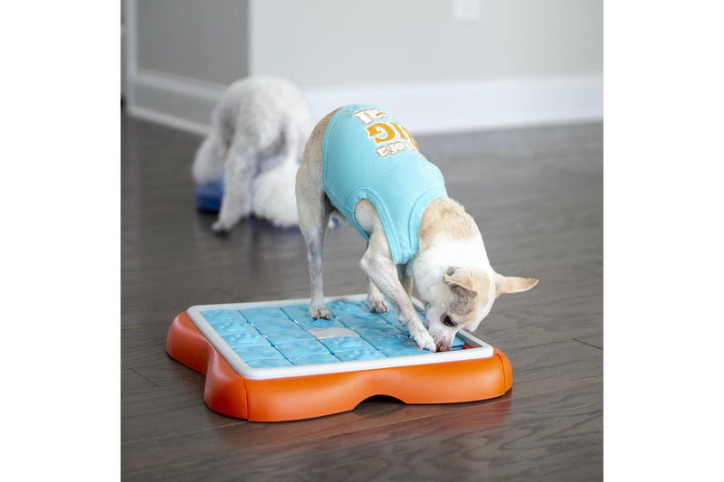 Outward Hound: Nina Ottosson - Challenge Slider Interactive Treat Puzzle Go Toy