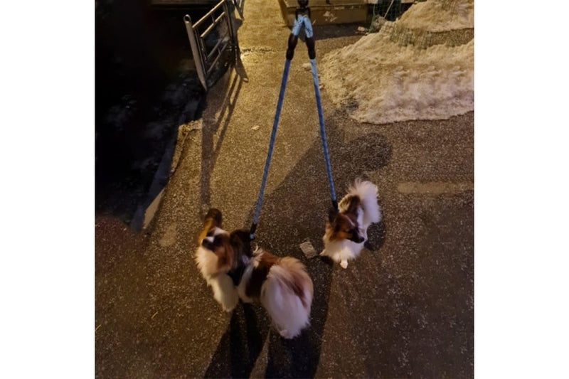 Reflective Nylon Couple Dog Leash