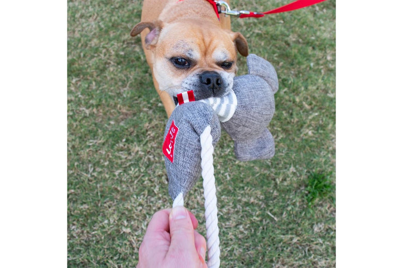 2PK Louie Living Urban Pet Dog Cat Durable Rope Chew Bite Toy Elias the Elephant