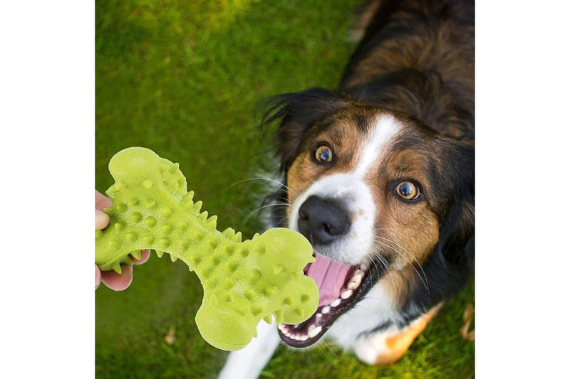 Durable Safe Non-toxic Rubber Puppy Chew Bone Toy For Small Large Dog Improves Dental Hygiene