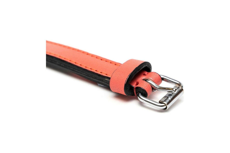 Dog Collar By Gloria Padded Coral 40 x 2 cm